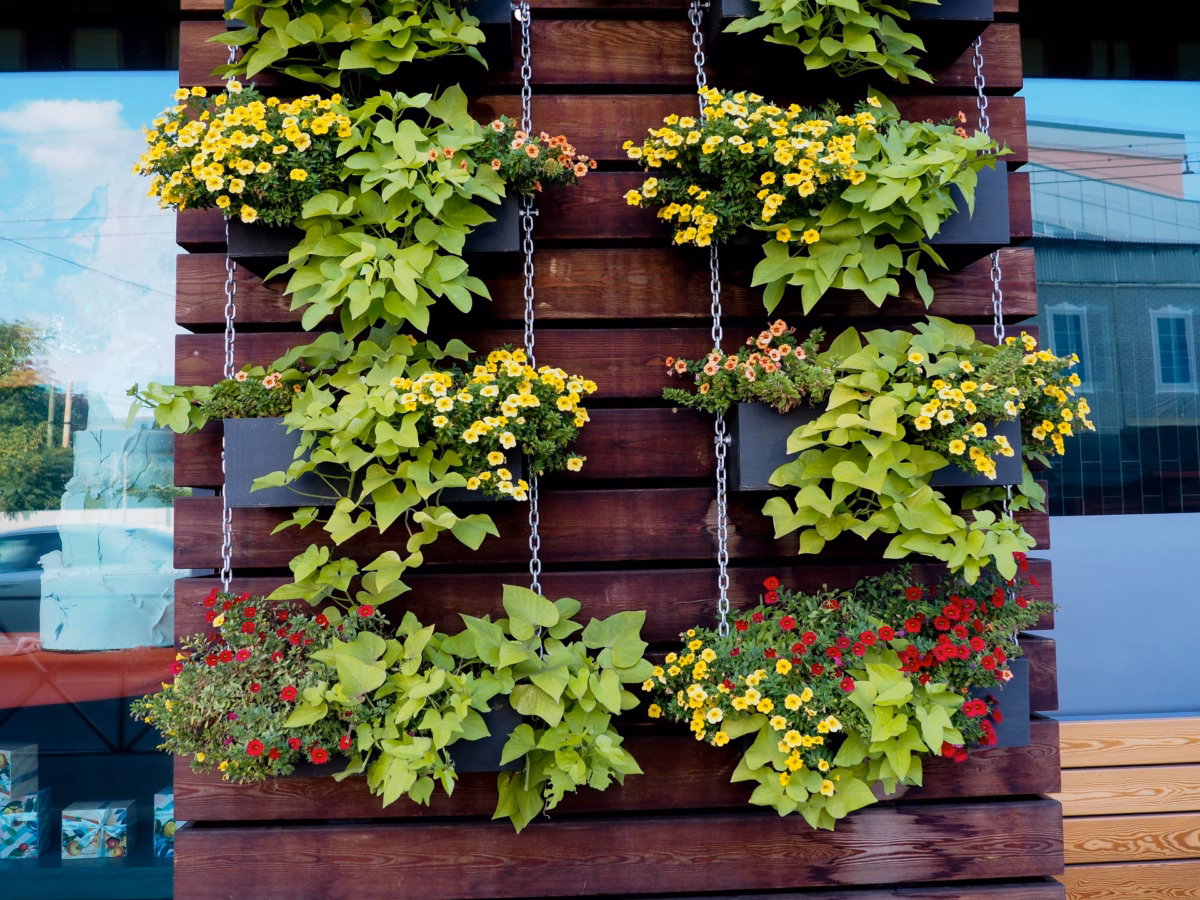 Jardins Verticais Floridos em Pallets: Sustentabilidade e Beleza - inspiração