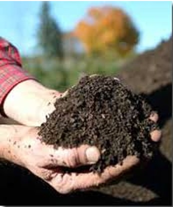 Adubo de Composteira Doméstica: Crie um Ciclo Sustentável e Rico em Nutrientes - detalhe