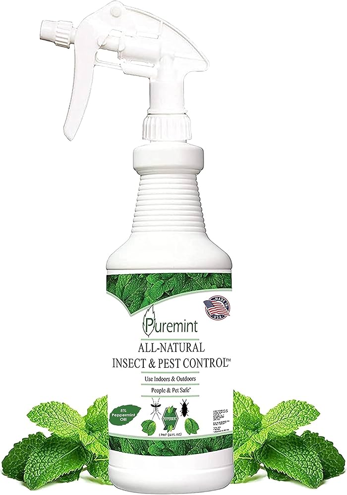 Com Pimenta Caiena: Um Spray Picante para Afastar Pragas - detalhe