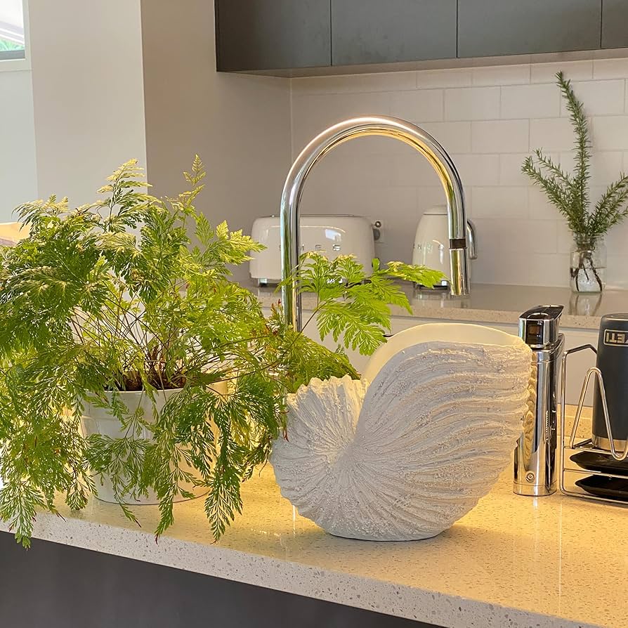 Prateleiras Abertas com Detalhes em Conchas: Exponha Sua Coleção! - ideia