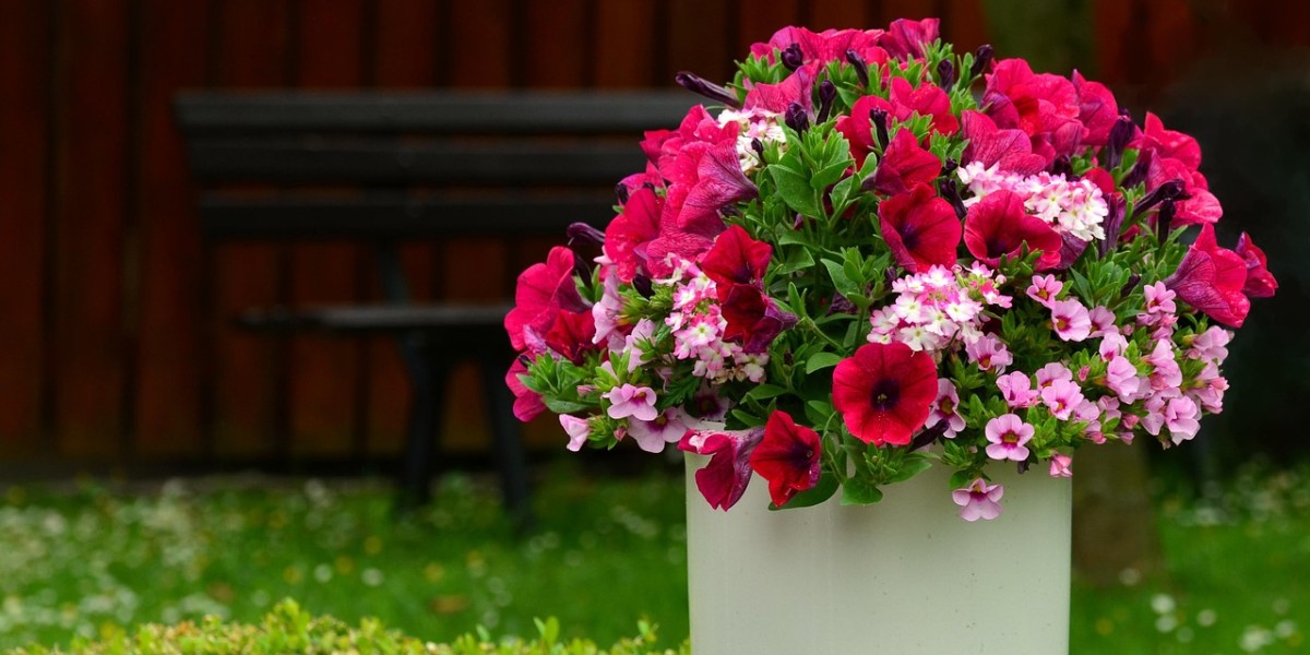 Petúnias Pendentes: Cestas Floridas que Irradiam Charme - ideia