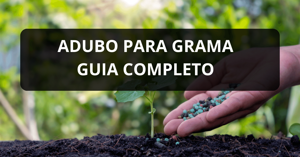 Gramado com Adubação Orgânica Caseira: Nutrição Natural e Sustentável - inspiração