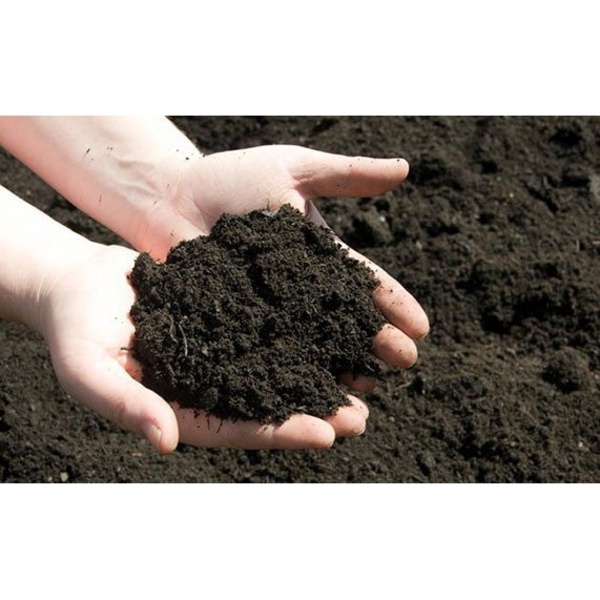 Composição de Terra Vegetal Enriquecida com Húmus de Minhoca para Hortaliças Vibrantes - inspiração