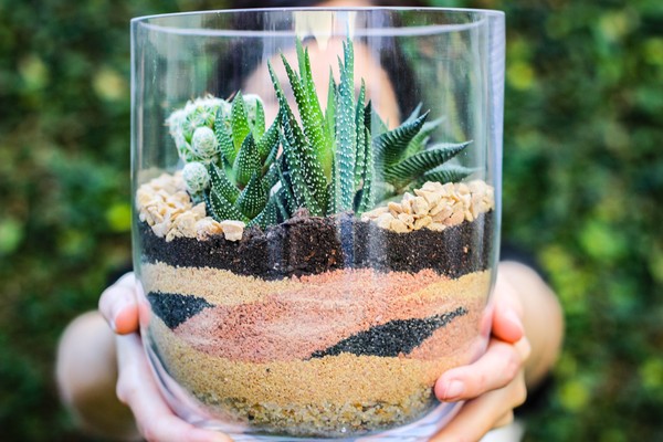 Terrário Suspenso em Macramê: Um Toque Boho - detalhe