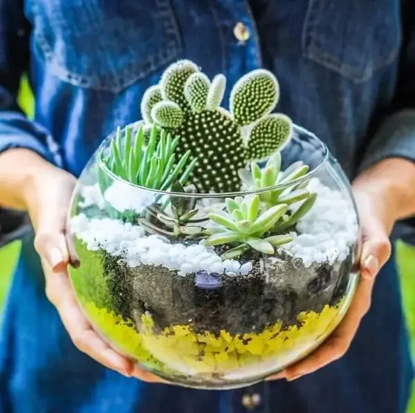 Terrário Suspenso em Macramê: Um Toque Boho - inspiração