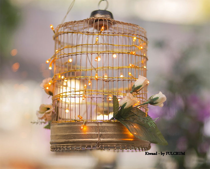 Gaiola Iluminada: Um Jardim de Luzes Mágico - ideia