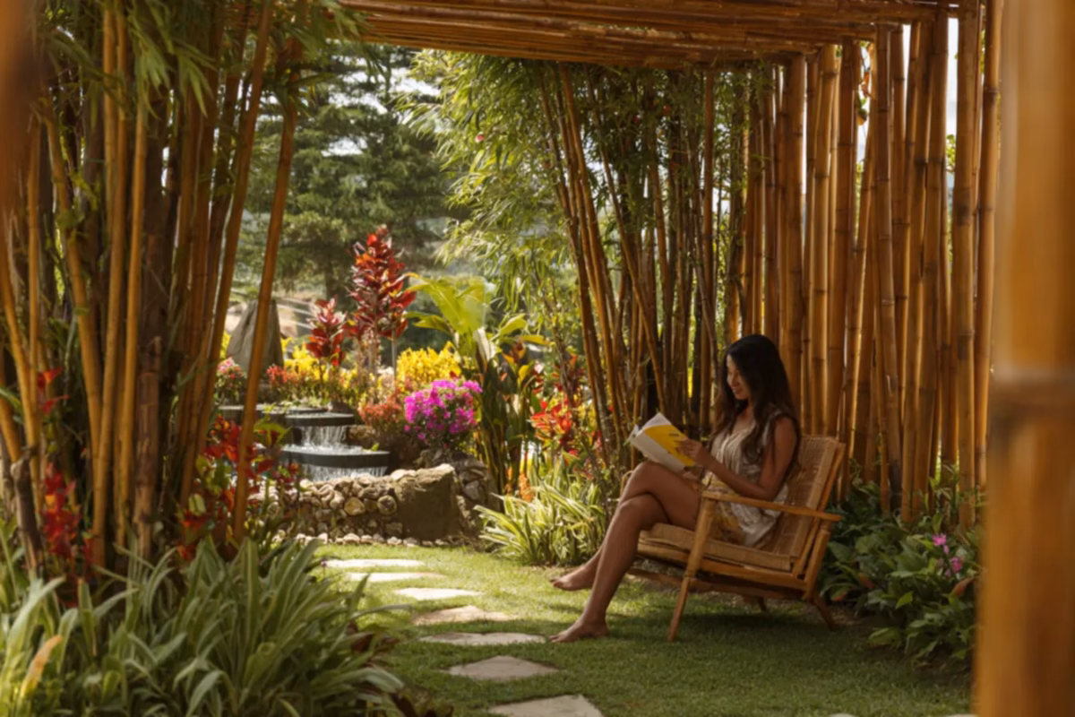 Mini-Paraíso Tropical com Bambu e Folhagens Exuberantes - detalhe