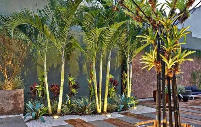 Mini-Paraíso Tropical com Bambu e Folhagens Exuberantes - inspiração