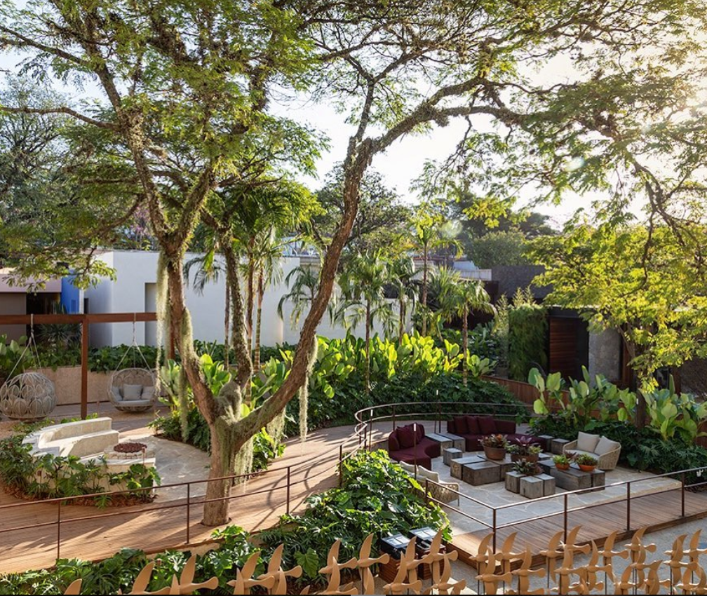 Mini-Paraíso Tropical com Bambu e Folhagens Exuberantes - ideia