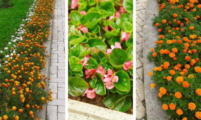 Bordadura Romântica com Rosas Miniatura - inspiração