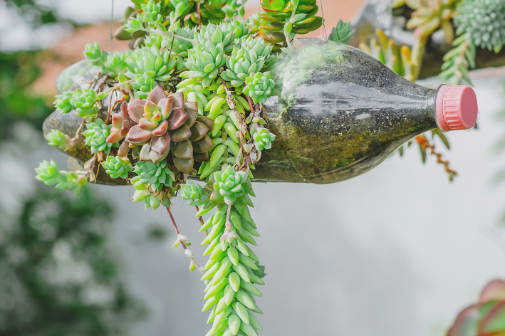Em Xícaras e Bules: Um Jardim Suspenso Delicado e Divertido - detalhe