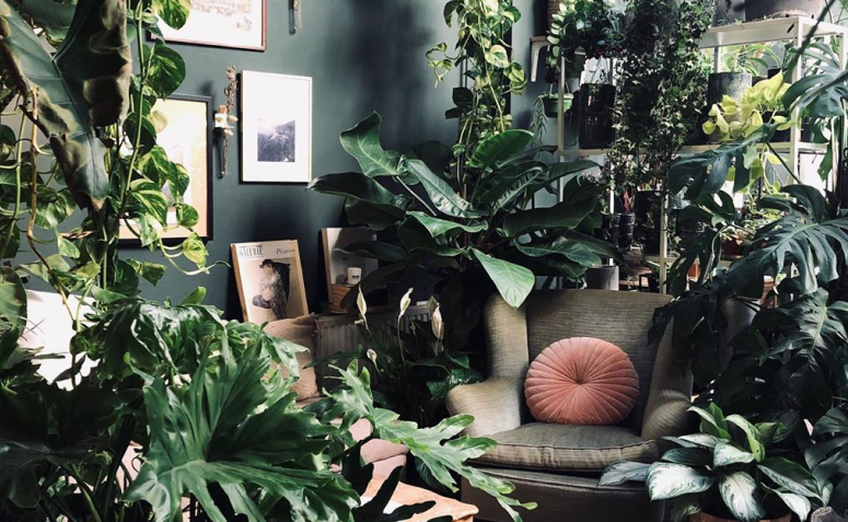 Efeito Urban Jungle com Mix de Texturas - inspiração