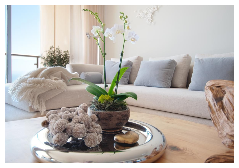 Minimalismo Zen: Orquídeas Brancas e a Calma que Sua Sala Pede - inspiração